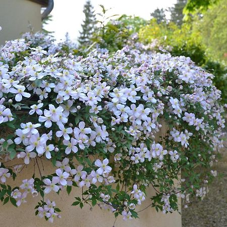 Bed and Breakfast Le Clos Fleuri Giverny Exterior foto