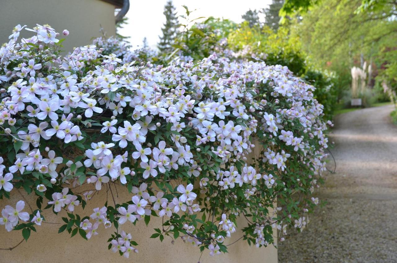 Bed and Breakfast Le Clos Fleuri Giverny Exterior foto